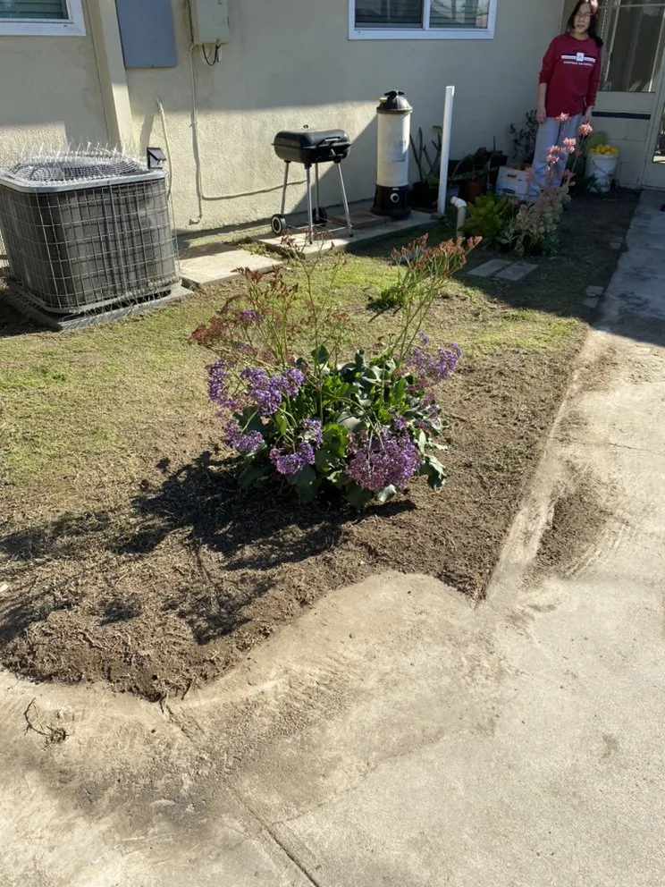 Reliable residential landscaping in Buena Park, CA by GN Landscape