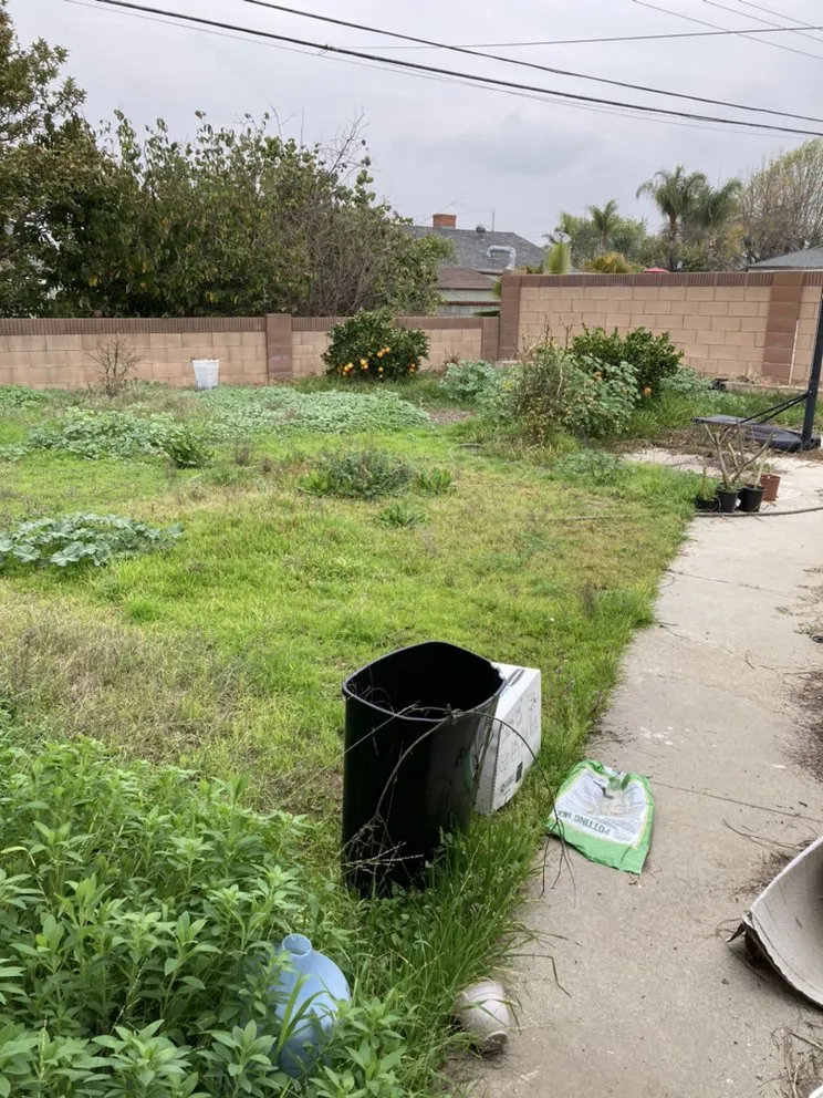 Custom landscape design for year-round maintenance across Buena Park, CA - GN Landscape