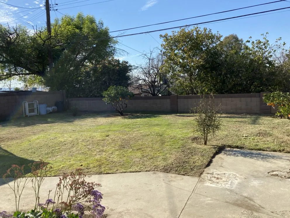 Top-rated outdoor landscaping for beautiful yards across Buena Park, CA - GN Landscape