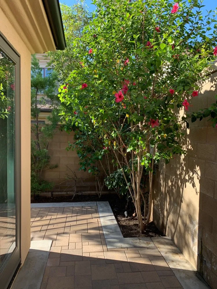 Expert residential landscaping for year-round maintenance across Buena Park, CA - GN Landscape