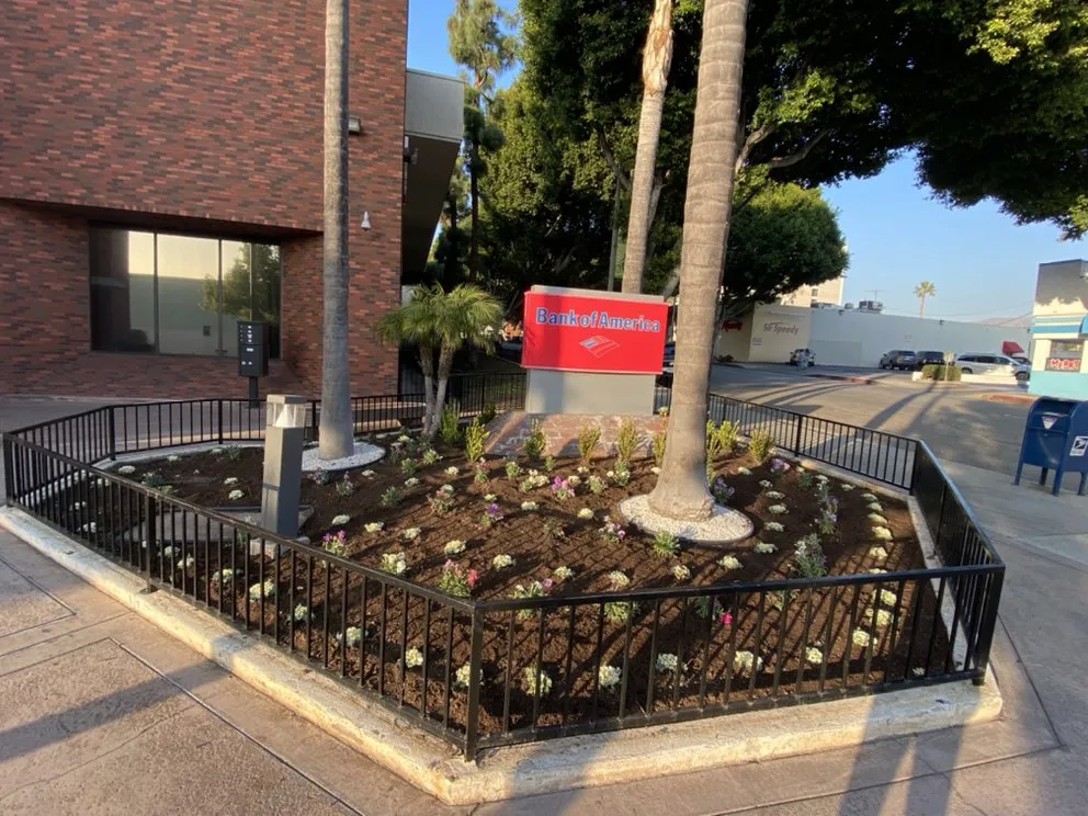 Reliable landscape installation for outdoor upgrades across Buena Park, CA - GN Landscape
