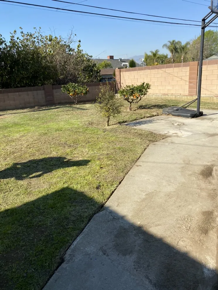 Custom yard maintenance experts serving Buena Park, CA - GN Landscape
