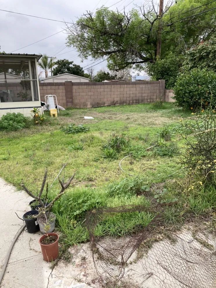 Expert landscaping services experts serving Buena Park, CA - GN Landscape