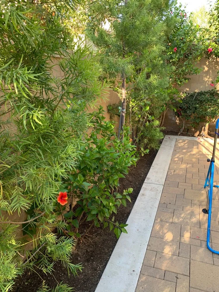 Reliable lawn care service in Buena Park, CA - GN Landscape