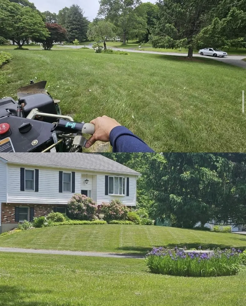 Custom yard cleanup service experts serving Dover Plains, NY - G&N Landscape