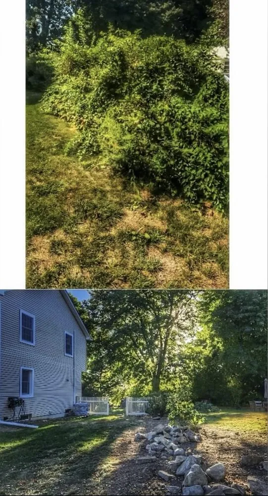 Affordable garden landscaping in Dover Plains, NY - G&N Landscape