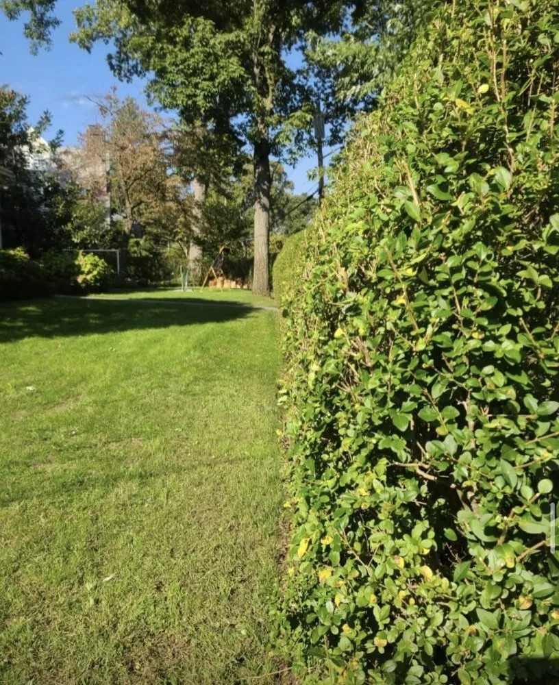 Affordable residential landscaping experts serving Dover Plains, NY - G&N Landscape