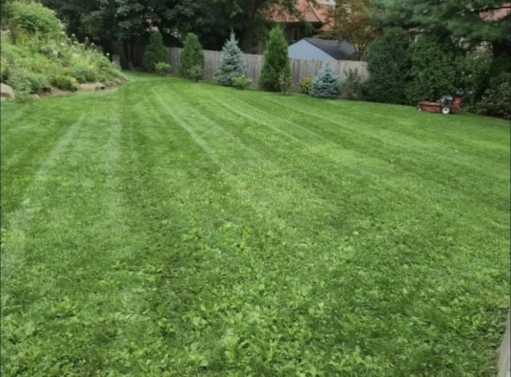 Top-rated outdoor landscaping in Dover Plains, NY by G&N Landscape