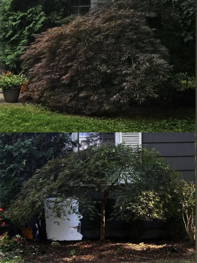 Local yard maintenance in Dover Plains, NY - G&N Landscape