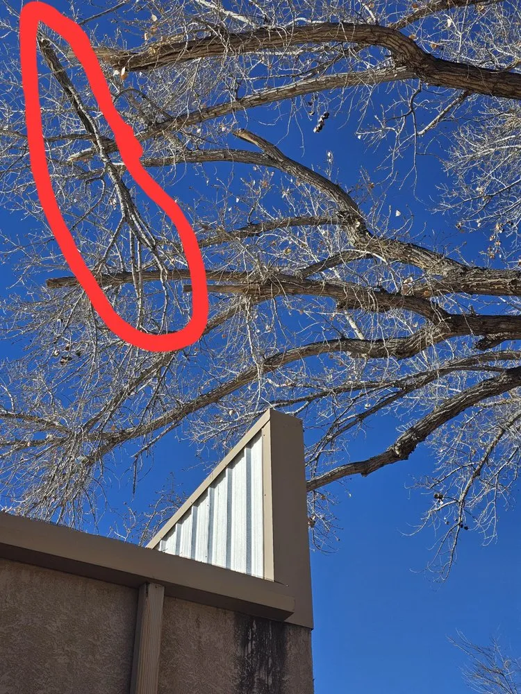 Custom landscape design with custom design across Grand Junction, CO - G&N Lawn Coyotes