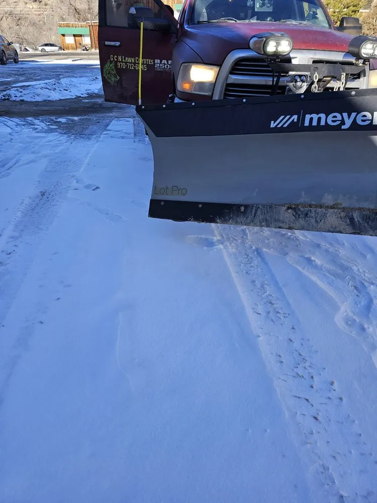 Professional yard cleanup service in Grand Junction, CO by G&N Lawn Coyotes