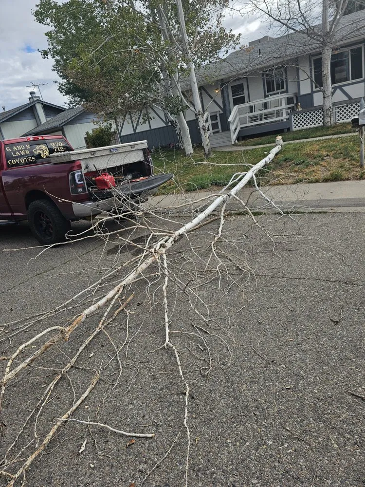 Affordable lawn mowing service for homes across Grand Junction, CO - G&N Lawn Coyotes