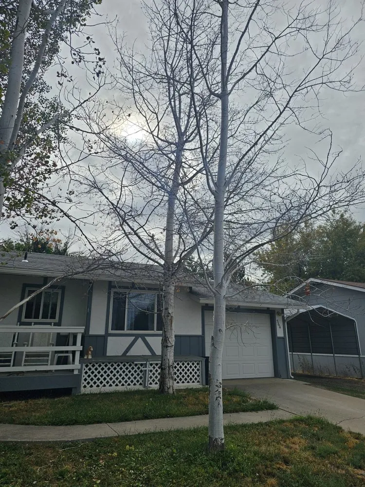 Reliable yard cleanup service for outdoor upgrades in Grand Junction, CO by G&N Lawn Coyotes