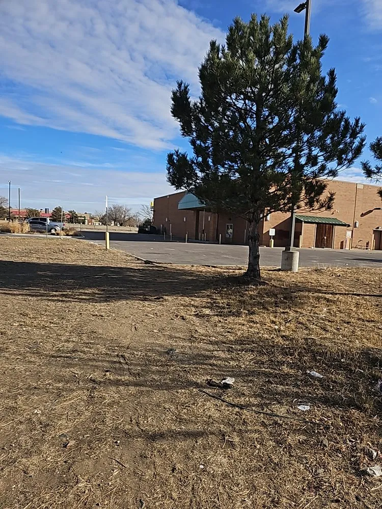 Reliable landscape design for year-round maintenance across Grand Junction, CO - G&N Lawn Coyotes