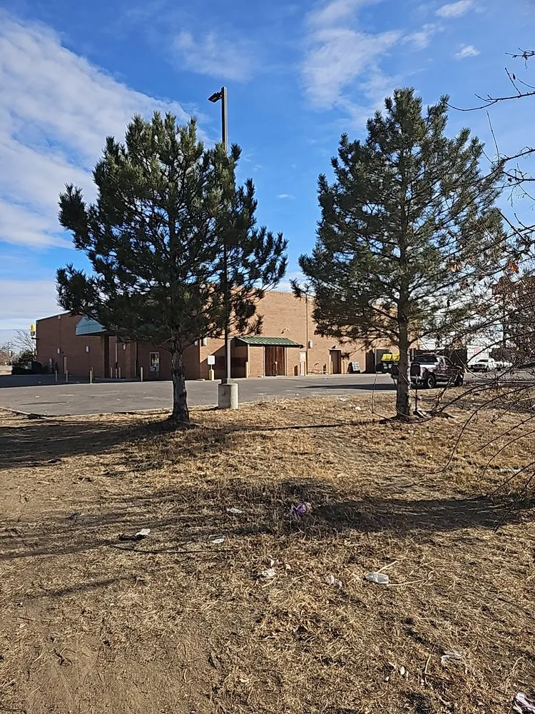 Trusted garden landscaping with custom design across Grand Junction, CO - G&N Lawn Coyotes