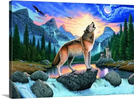 Professional landscape design in Grand Junction, CO by G&N Lawn Coyotes