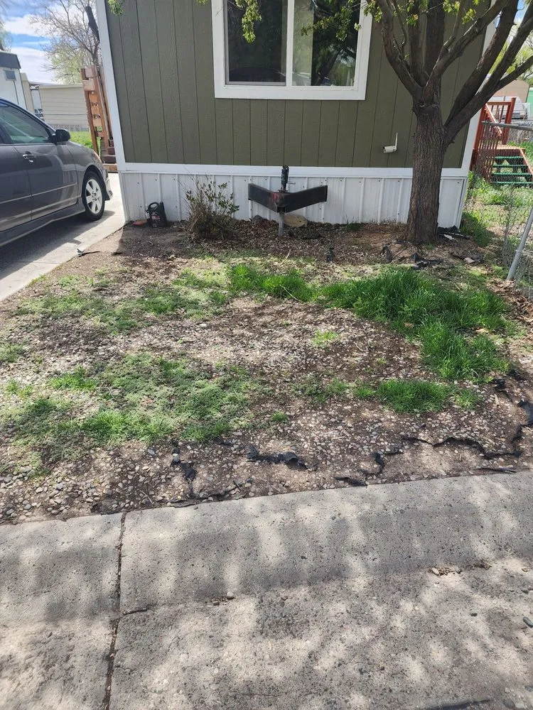 Trusted garden landscaping for beautiful yards across Grand Junction, CO - G&N Lawn Coyotes