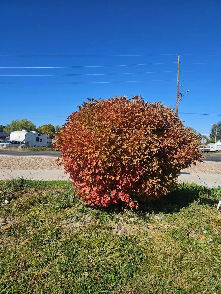 Expert garden landscaping for residential properties across Grand Junction, CO - G&N Lawn Coyotes