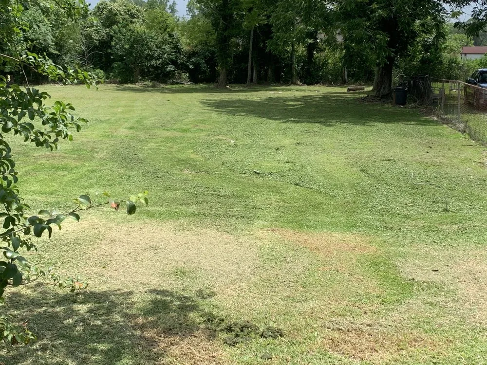 Local yard cleanup service in Lutcher, LA by GN4K Services