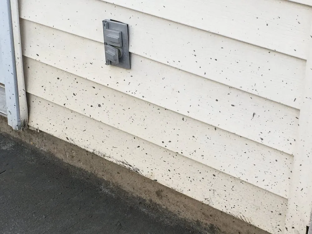 Professional yard cleanup service in Janesville, WI - GNC Concrete