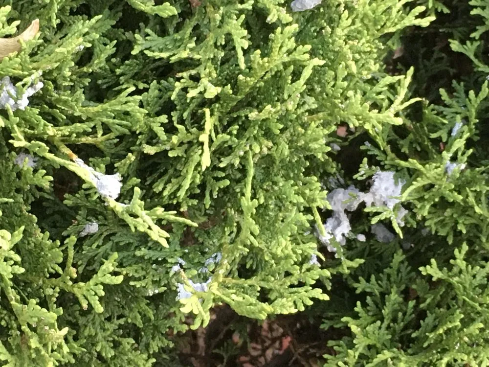 Trusted landscape installation near you in Janesville, WI by GNC Concrete