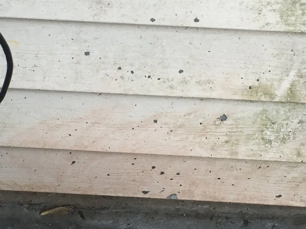 Local landscape installation in Janesville, WI - GNC Concrete