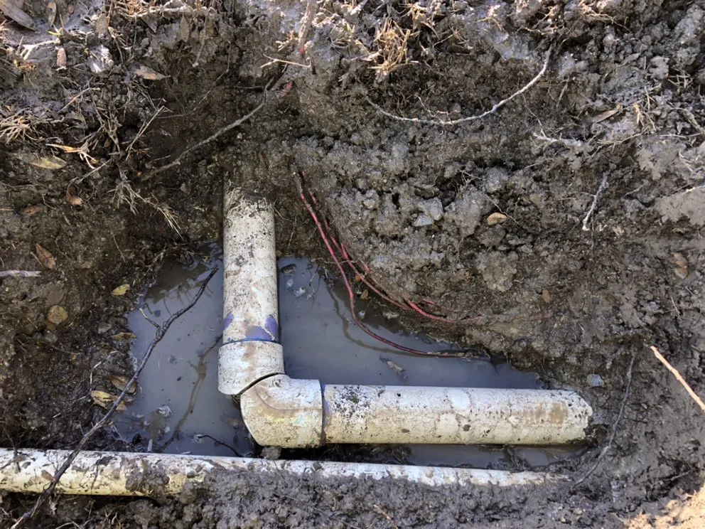 Reliable yard cleanup service in Dallas, TX - GNC Landscape