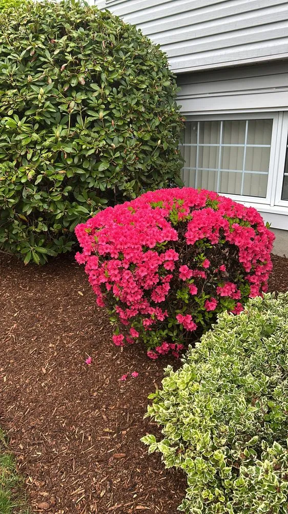 Expert outdoor landscaping for outdoor upgrades across Chelsea, MA - GNG Landscaping & Remodeling