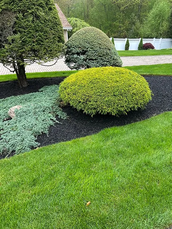 Trusted yard maintenance with custom design across Chelsea, MA - GNG Landscaping & Remodeling