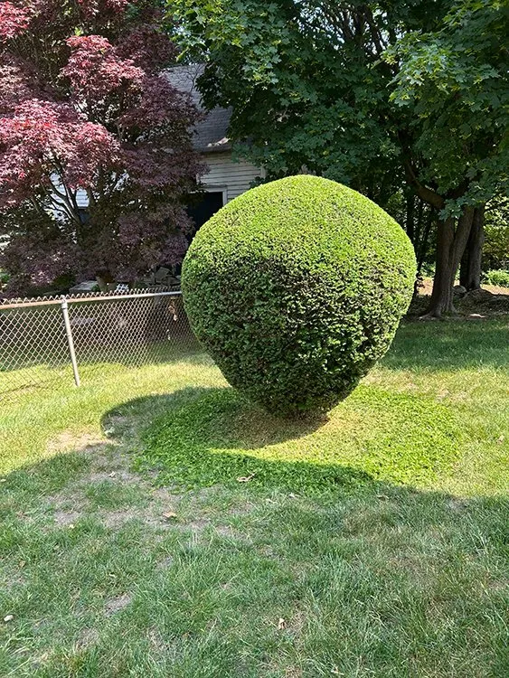 Reliable landscape design near you in Chelsea, MA by GNG Landscaping & Remodeling