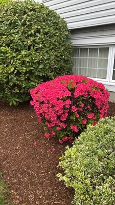 GNG Landscaping & Remodeling