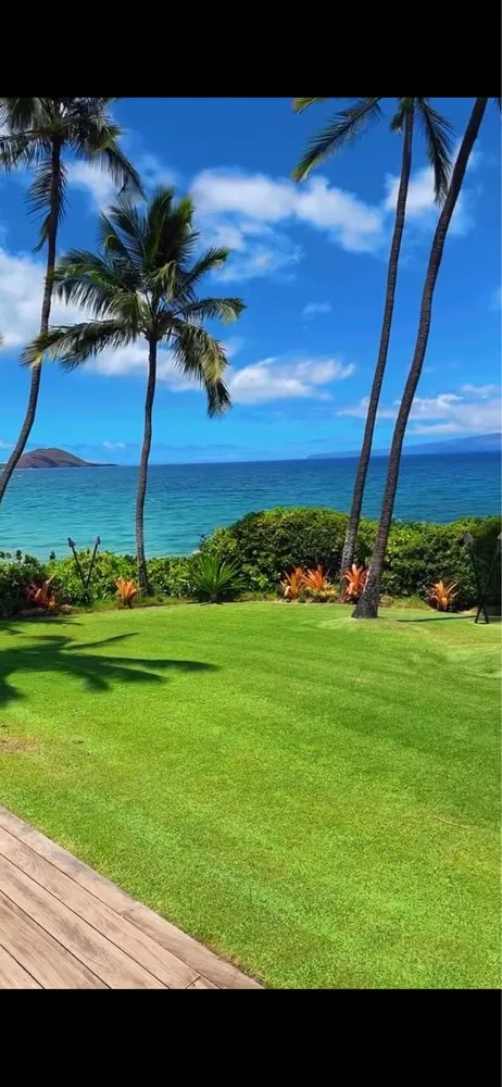 Local yard cleanup service in Maui, HI - GnG Lawn Care