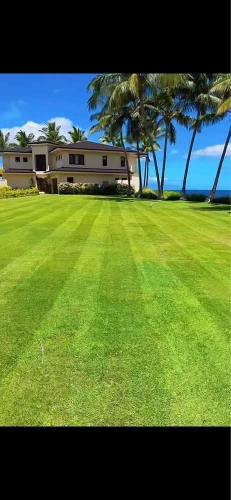 Reliable yard maintenance for beautiful yards in Maui, HI by GnG Lawn Care