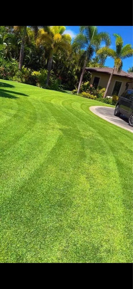Top-rated yard maintenance in Maui, HI by GnG Lawn Care
