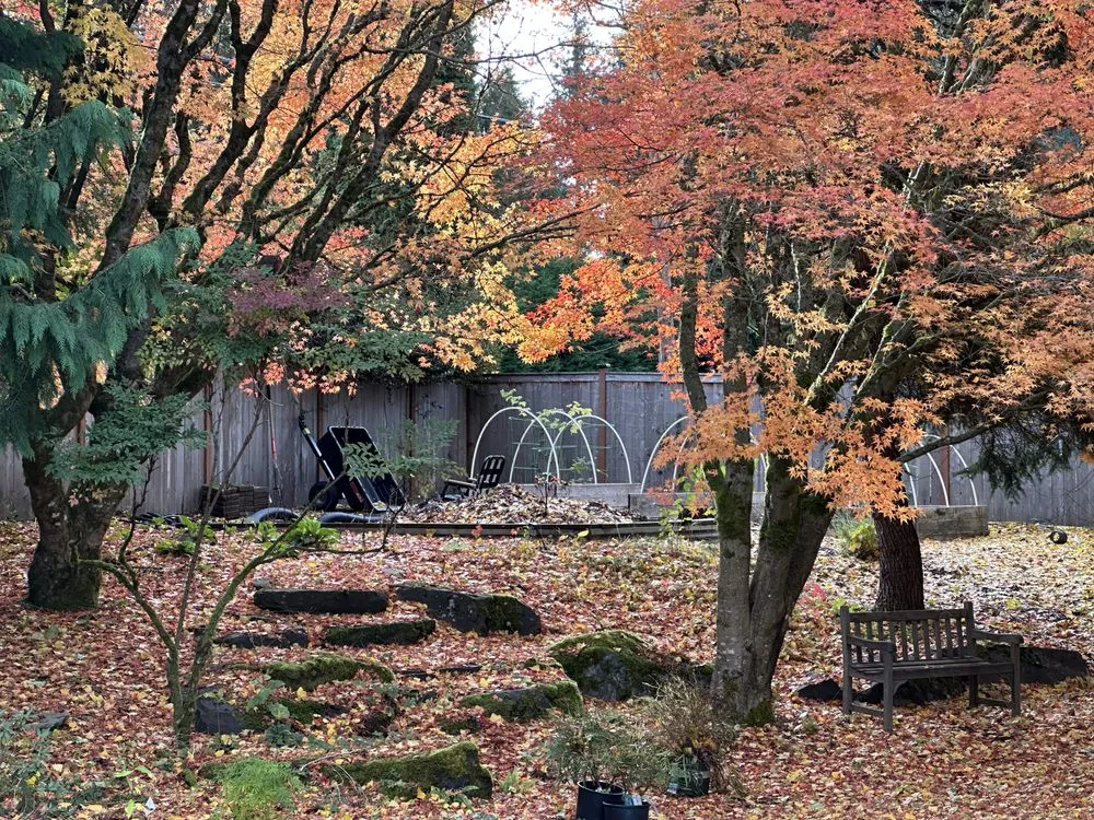 Local landscape installation experts serving Olympia, WA - Gnome Force