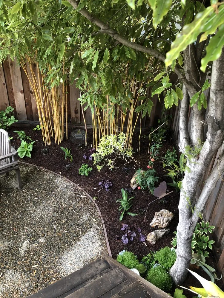 Custom garden landscaping in Olympia, WA by Gnome Force