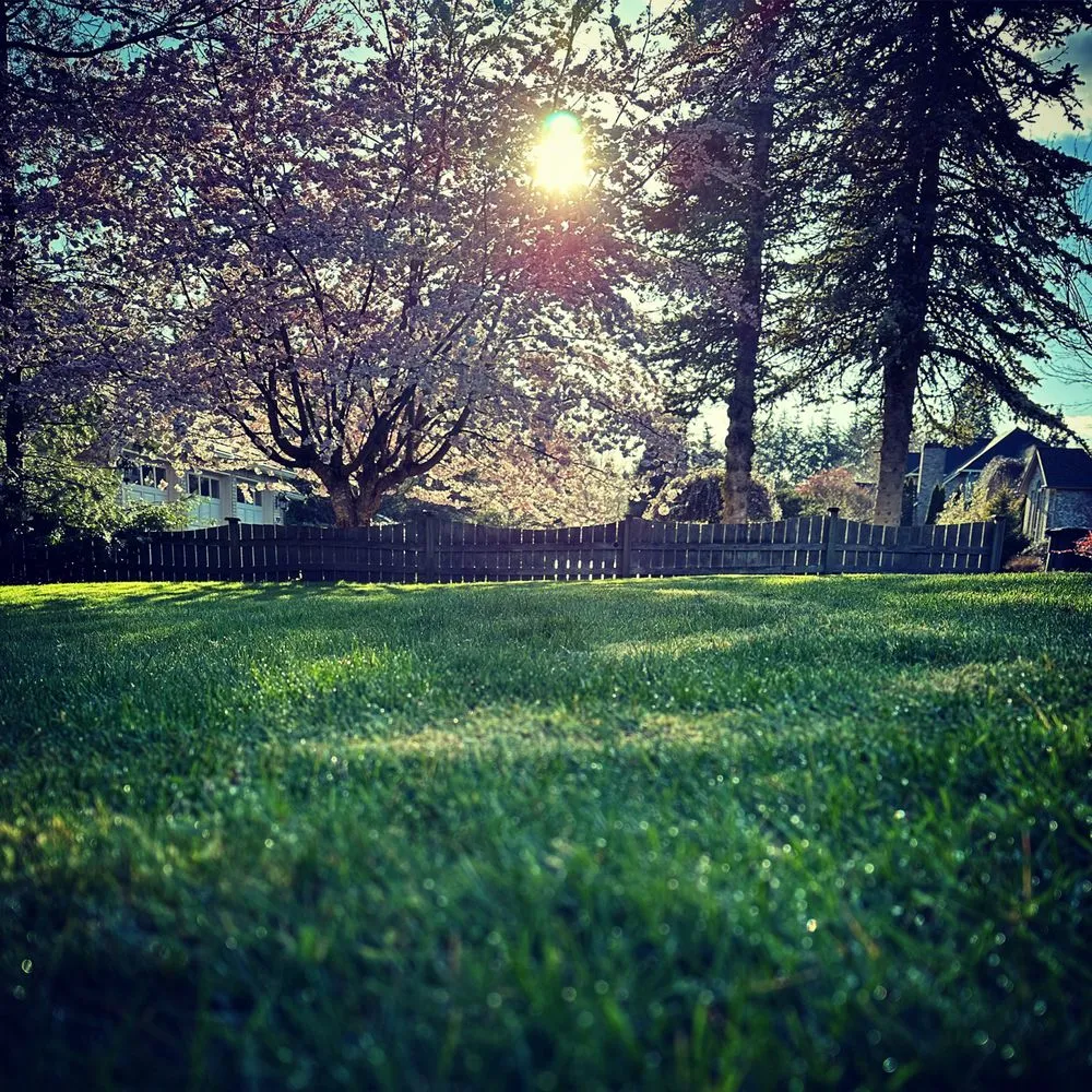 Affordable garden landscaping in Olympia, WA - Gnome Force