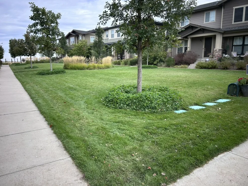 Reliable yard maintenance for outdoor upgrades across Aurora, CO - Gnome Tree Landscaping and Handyman