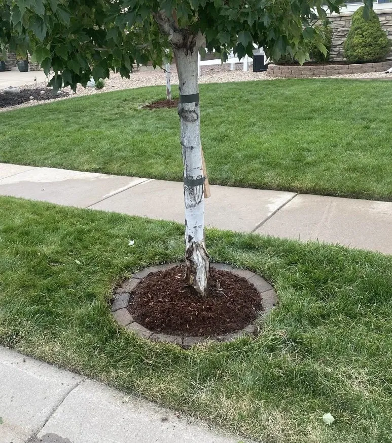 Trusted landscape design in Aurora, CO - Gnome Tree Landscaping and Handyman