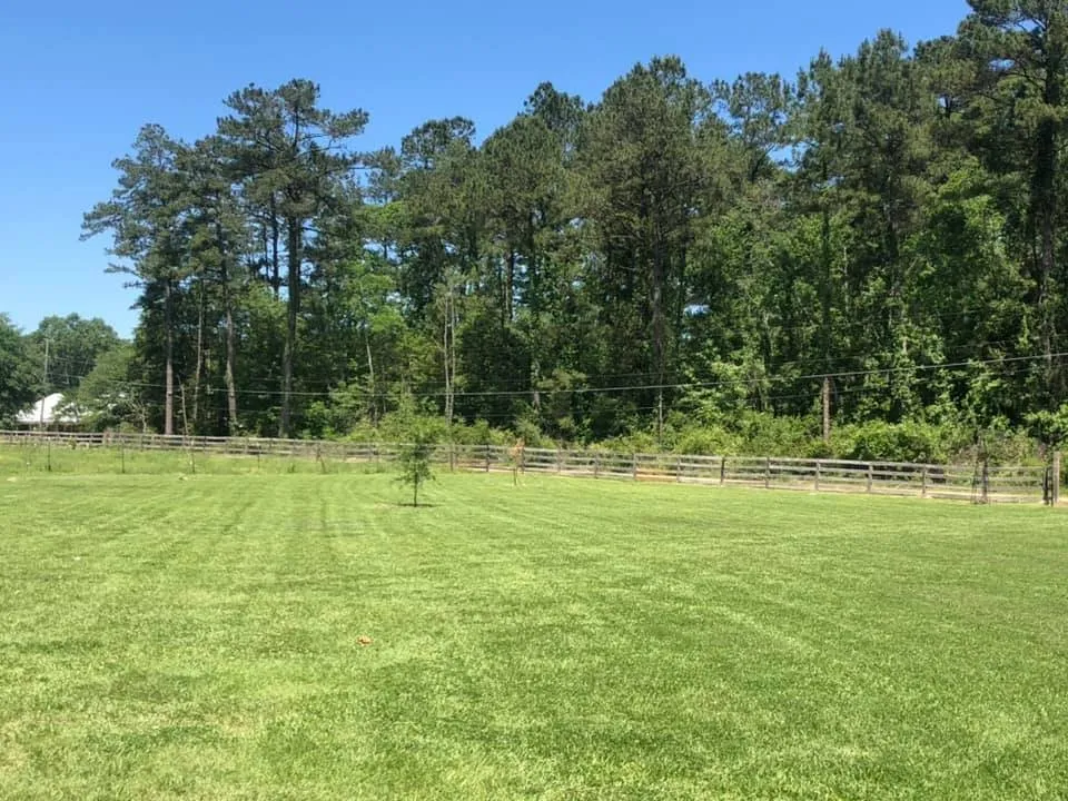 Affordable yard cleanup service in Hammond, LA - Gnomes Landscaping