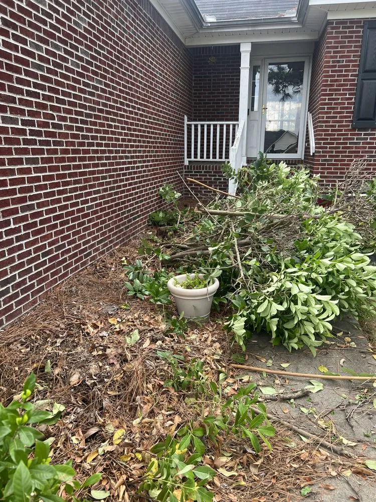 Top-rated residential landscaping experts serving Blythewood, SC - Gnomes Yardscaping