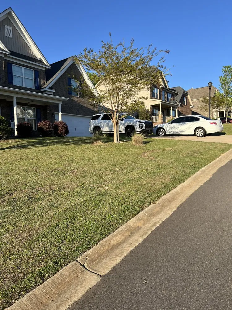 Professional yard cleanup service for year-round maintenance in Blythewood, SC by Gnomes Yardscaping
