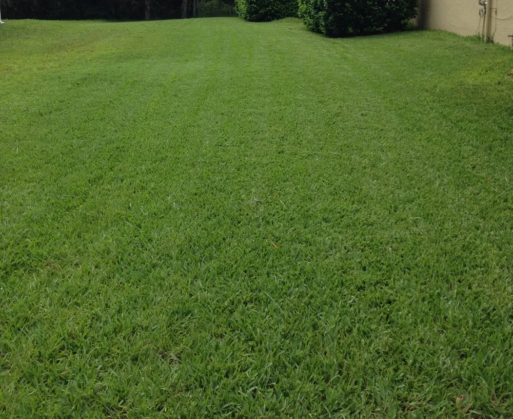 Reliable lawn care service in Oviedo, FL by Gnomies Landscaping