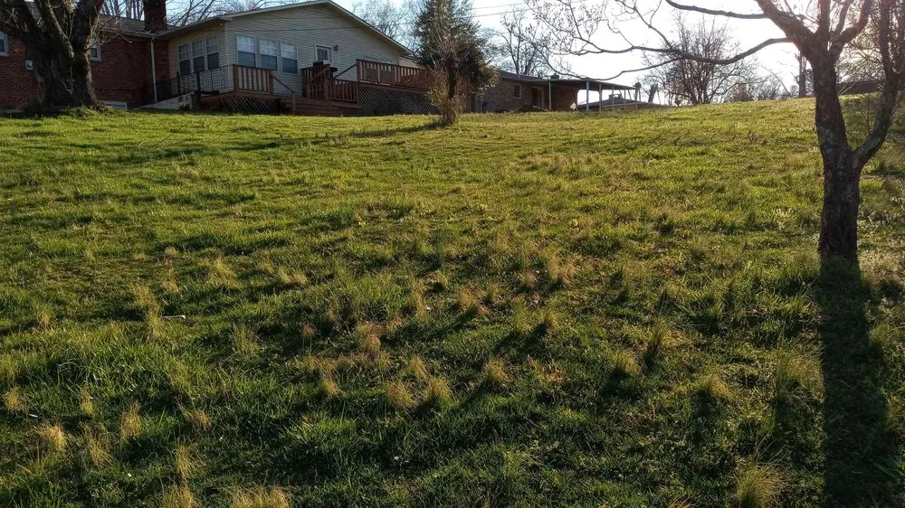 Expert lawn care service experts serving Baxter, TN - GNR Home and Lawn Service