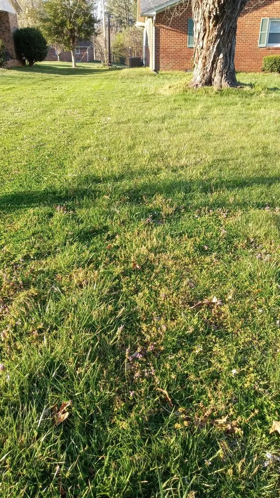 Local garden landscaping for outdoor upgrades across Baxter, TN - GNR Home and Lawn Service