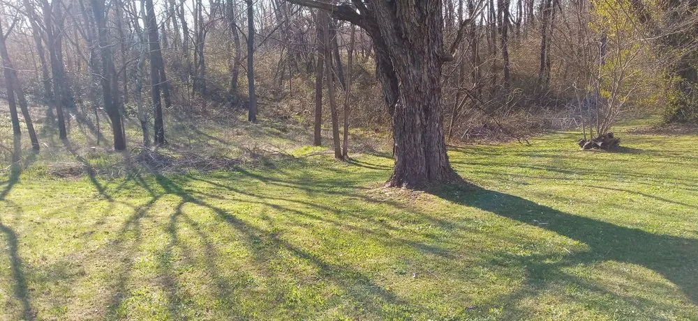 Local yard cleanup service for year-round maintenance in Baxter, TN by GNR Home and Lawn Service