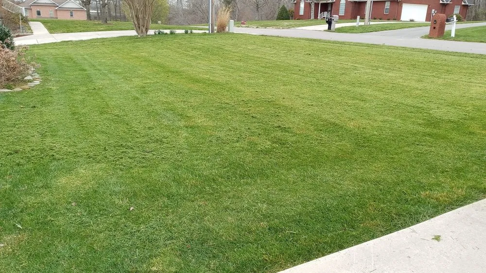 Affordable landscaping services for residential properties in Baxter, TN by GNR Home and Lawn Service