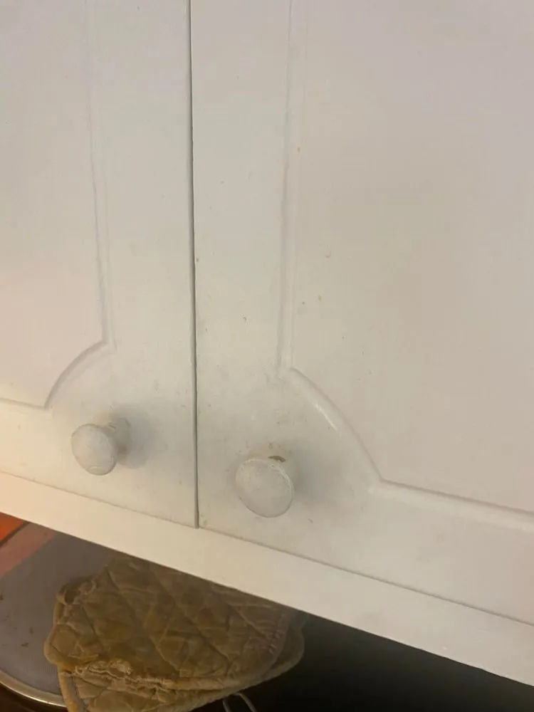 Reliable lawn mowing service near you in Baxter, TN by GNR Home and Lawn Service