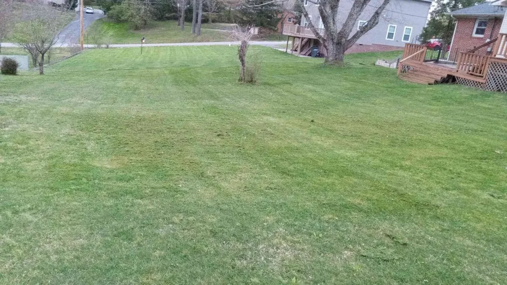 Expert landscaping services in Baxter, TN - GNR Home and Lawn Service