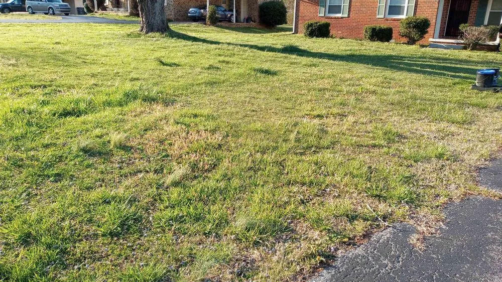 Trusted yard cleanup service for year-round maintenance in Baxter, TN by GNR Home and Lawn Service